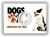 Dogs 101- American Pit Bull