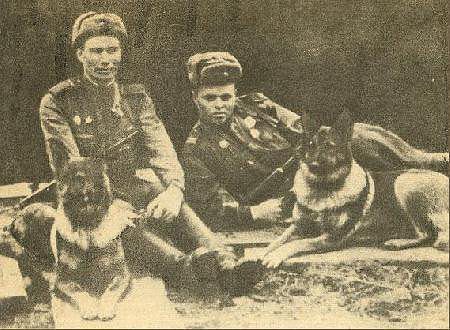 Soldados rusos con pastores alsacianos