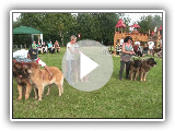 Leonberger XVI Spanish Monograph of the Leonberger CAC 2011