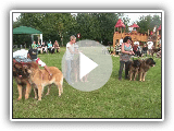 Leonberger XVI Monografica Española del Leonberger CAC 2011