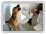 Toddler and dog play the blues