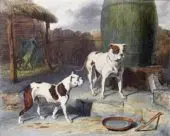 Antiguo Bulldog Inglés