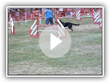 U'TOON Berger de Beauce Kanal 4 springende Katze C
