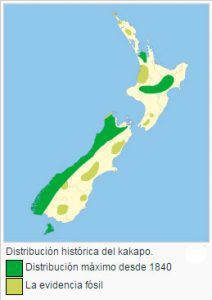 Mapa-kakapo