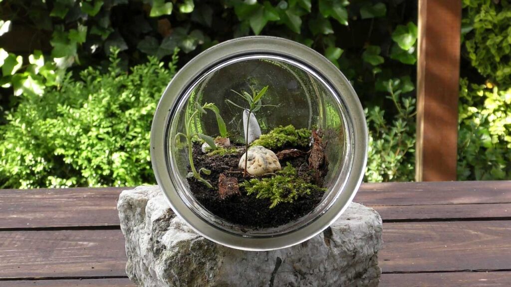 Terrarium