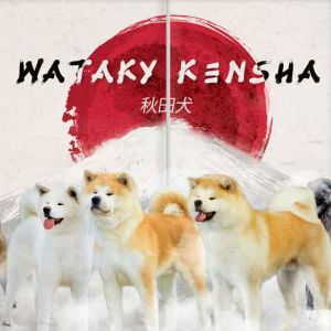 WATAKY-KENSHA.jpg