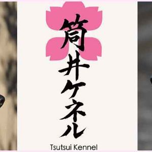 Tsutsui-Kennel.jpg