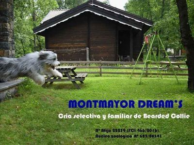 Montmayor-Dreams.jpg